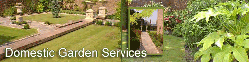 domestic garden services